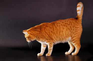 Similar image 21369911