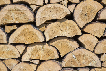 Similar image 21356579