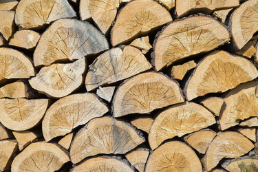 Similar image 21356587