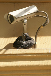 Similar image 21356591