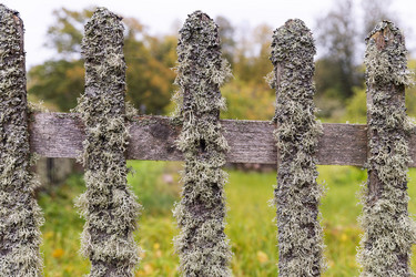 Similar image 21356597