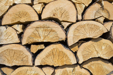 Similar image 21356630