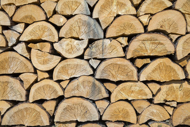 Similar image 21356636