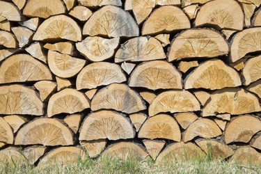 Similar image 21356640