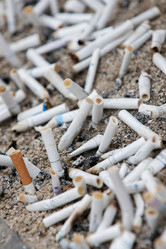 Similar image 21356665