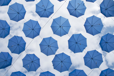 Similar image 21356666