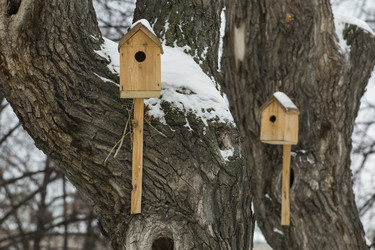 Similar image 21356670