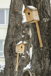 Similar image 21356671