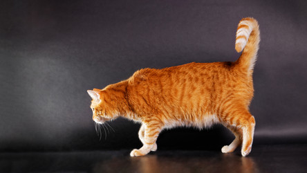 Similar image 21369913