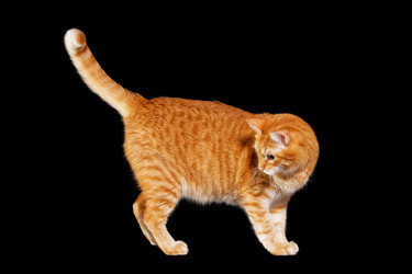 Similar image 21369914