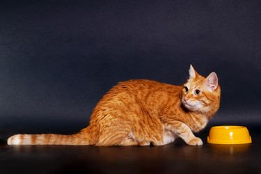 Similar image 21369916