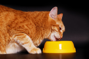 Similar image 21369917