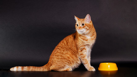 Similar image 21369918