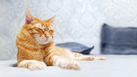 Similar image 21369920