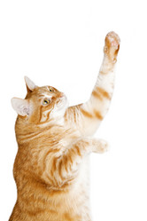 Similar image 21369923