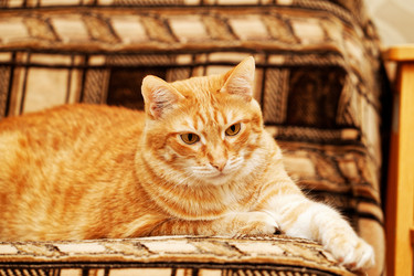 Similar image 21369924