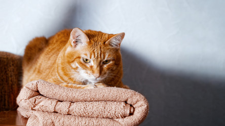 Similar image 21369930