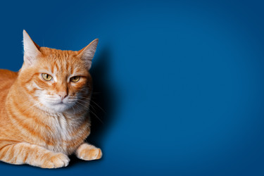 Similar image 21369932