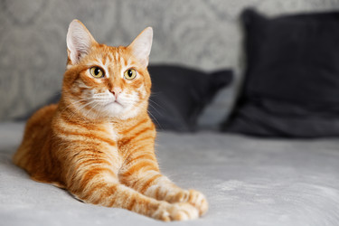 Similar image 21369933