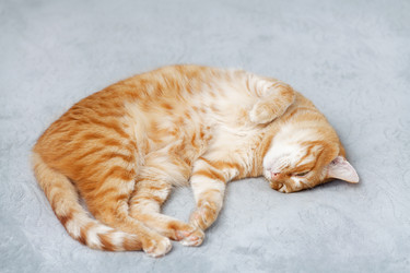 Similar image 21369937