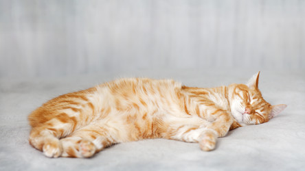 Similar image 21369940