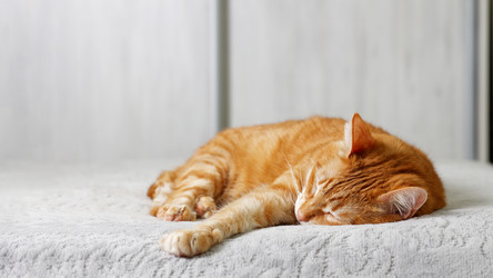 Similar image 21370155