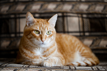 Similar image 21370157