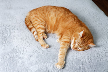 Similar image 21370158