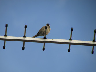 Similar image 21352735