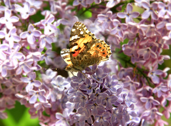 Similar image 21352307