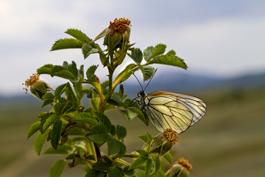 Similar image 21353780