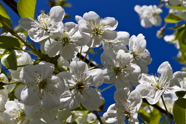 Similar image 21352311