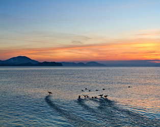 Similar image 21353243