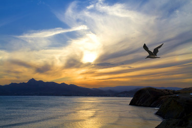 Similar image 21352318