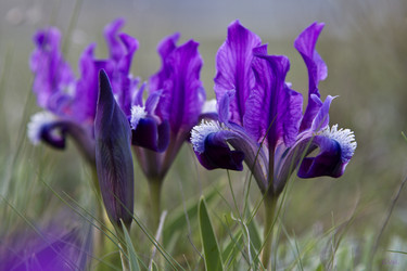 Similar image 21352325