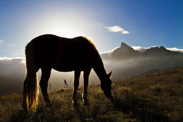 Similar image 21352328