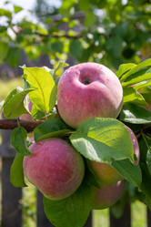 Similar image 21353250