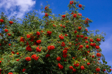 Similar image 21353254