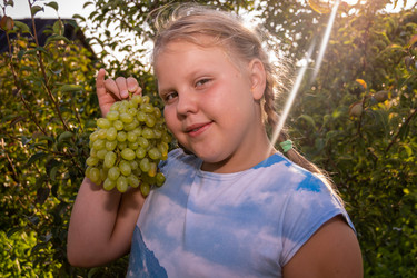 Similar image 21354300