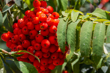 Similar image 21353257