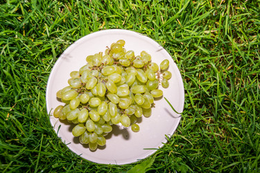 Similar image 21354304