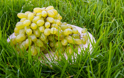 Similar image 21354305