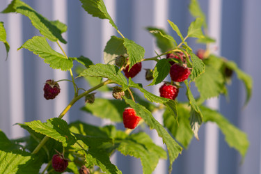 Similar image 21353781