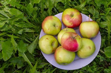 Similar image 21353258