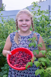 Similar image 21353259