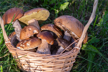 Similar image 21357898