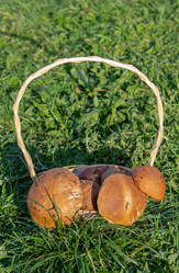 Similar image 21357899