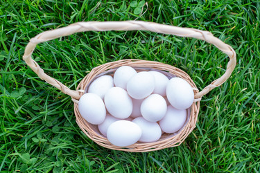 Similar image 21354306