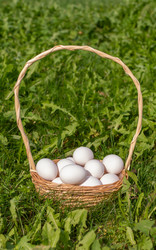 Similar image 21354307