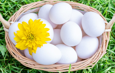 Similar image 21354308